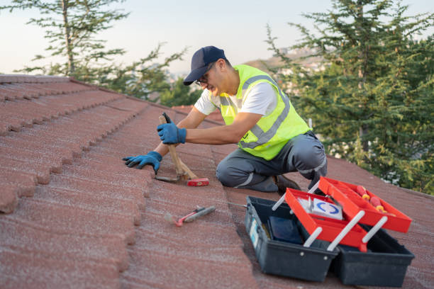 Best Roof Gutter Cleaning  in Baileys Crossroads, VA